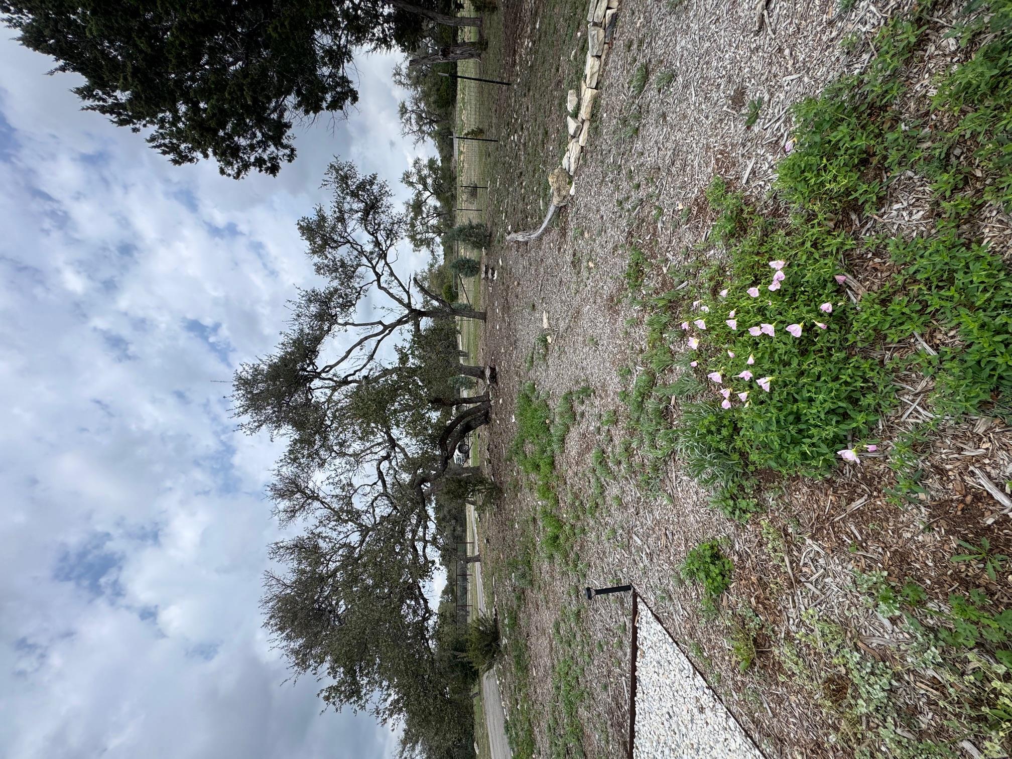 11605  Fitzhugh Rd photo 20