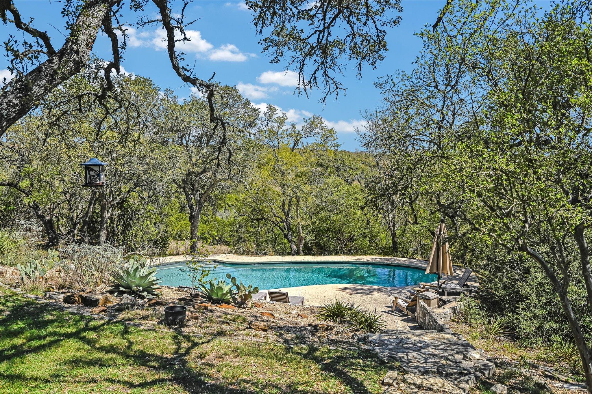 411 Whitetail Ridge Rd photo 24