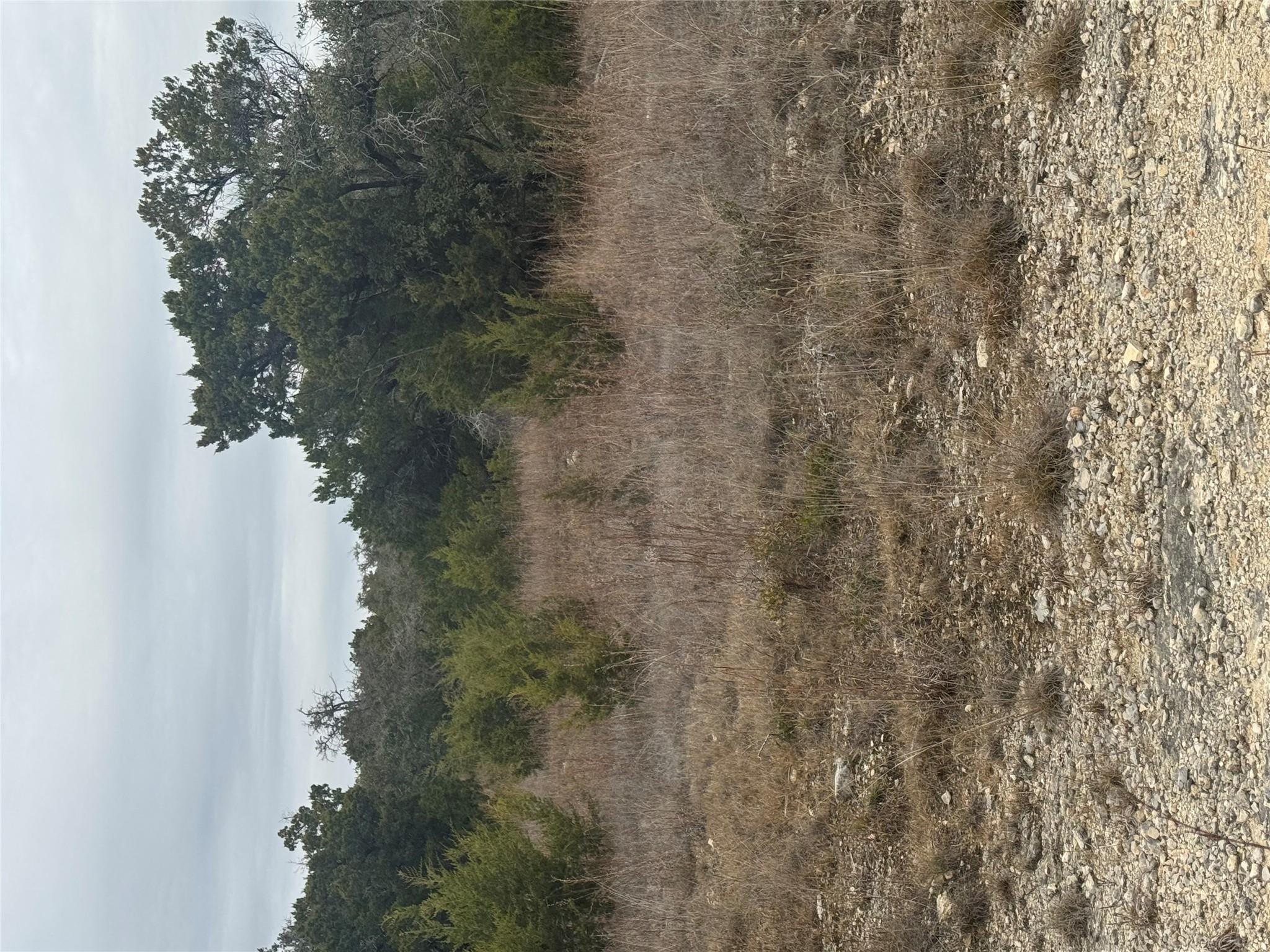 31822  Mirela Anne Rd  #Lot 4F & 4E photo 7