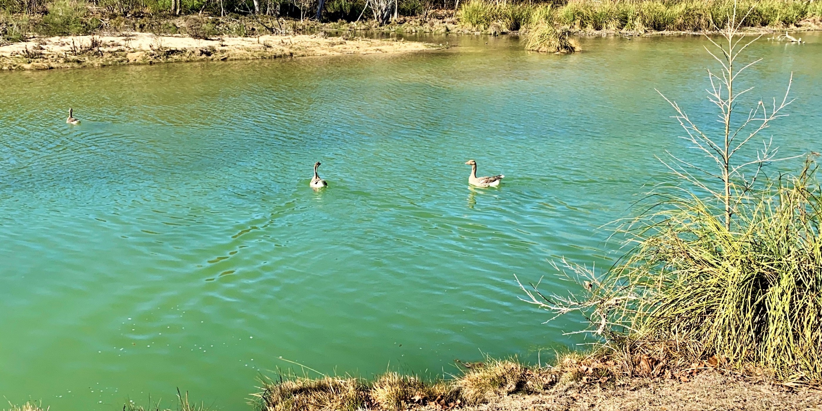 000 Miller Creek photo 29
