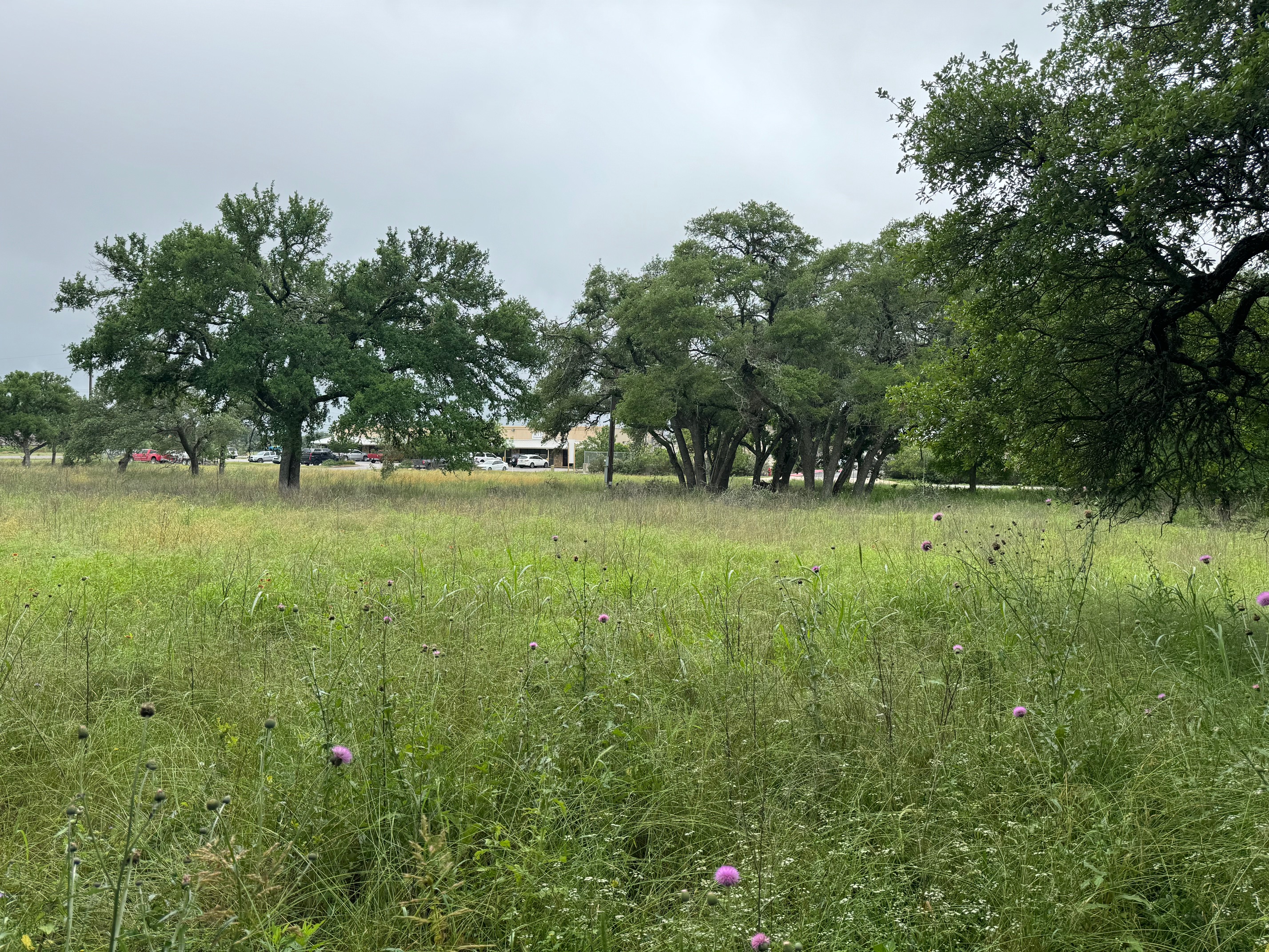 00 W US 290 Highway photo 8