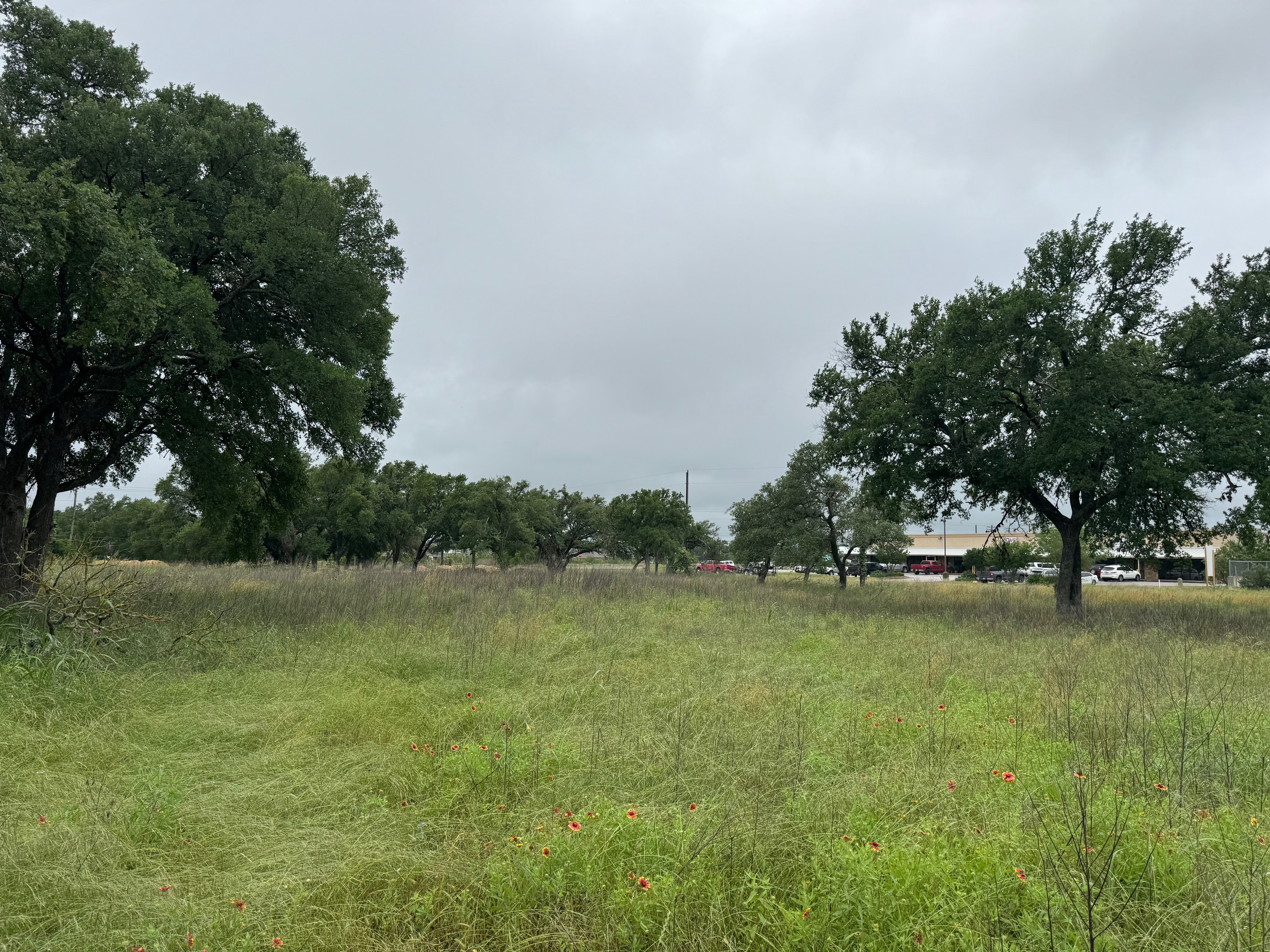 00 W US 290 Highway photo 7
