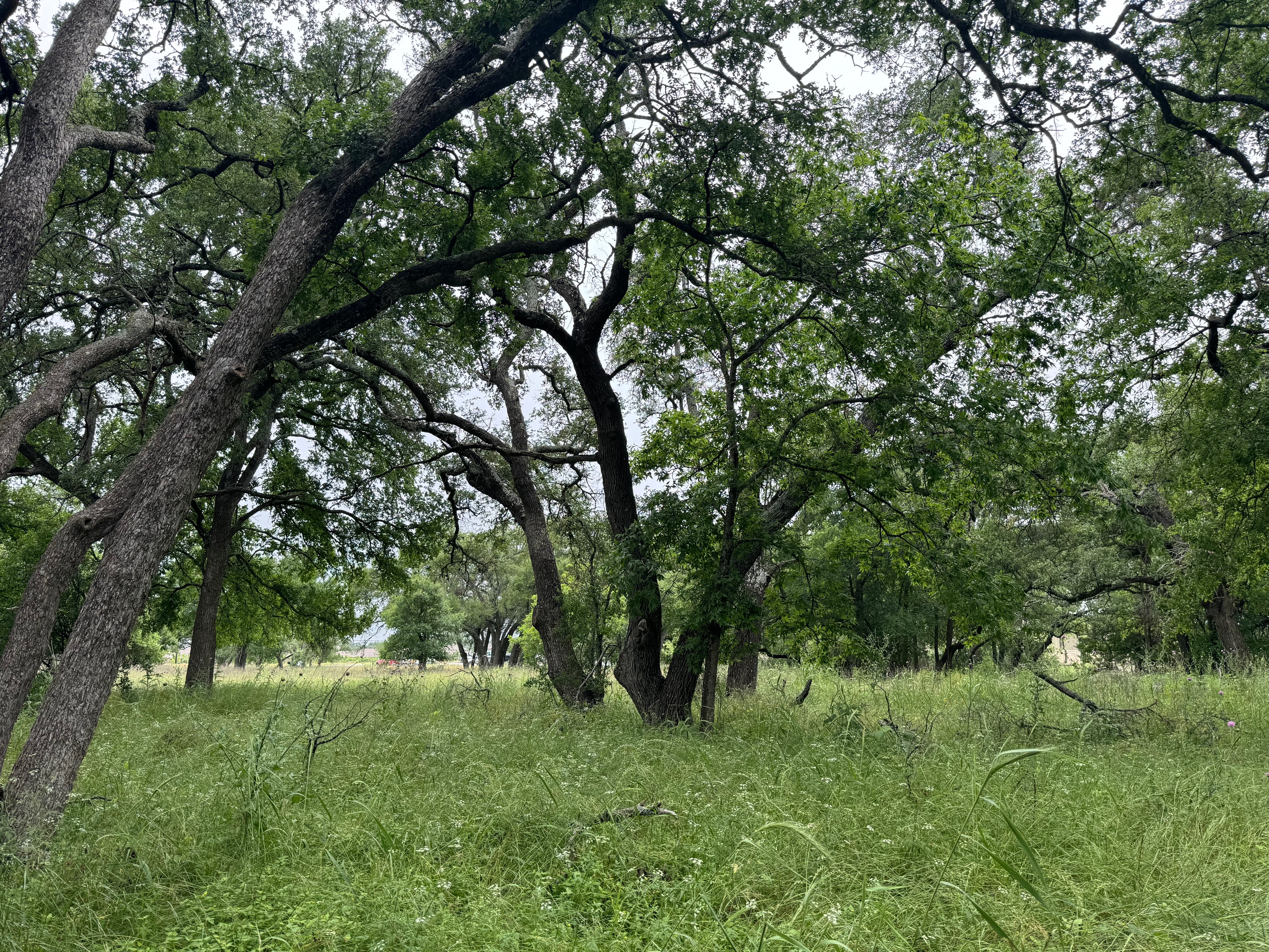 00 W US 290 Highway photo 2