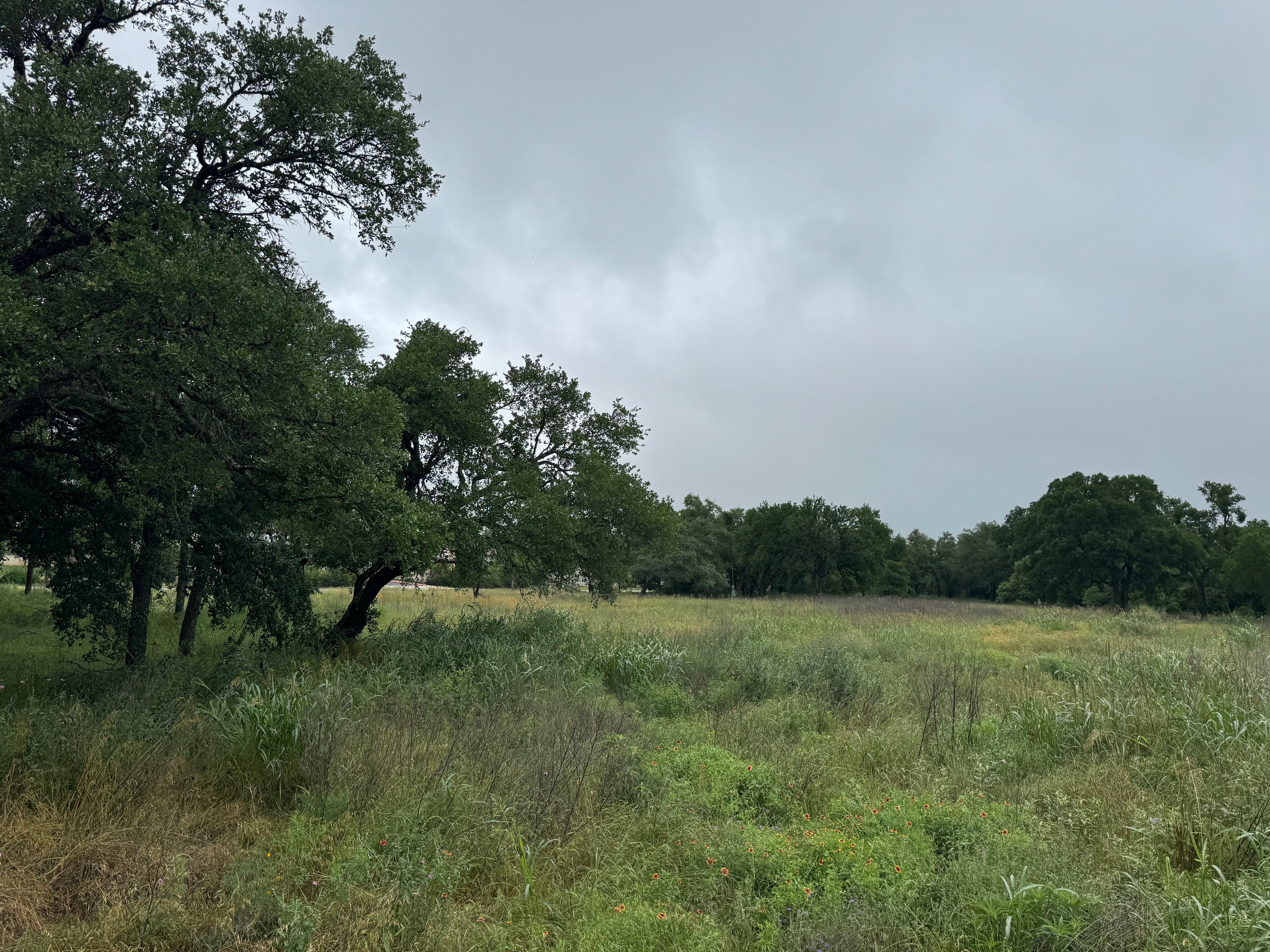 00 W US 290 Highway in Dripping Springs, Texas