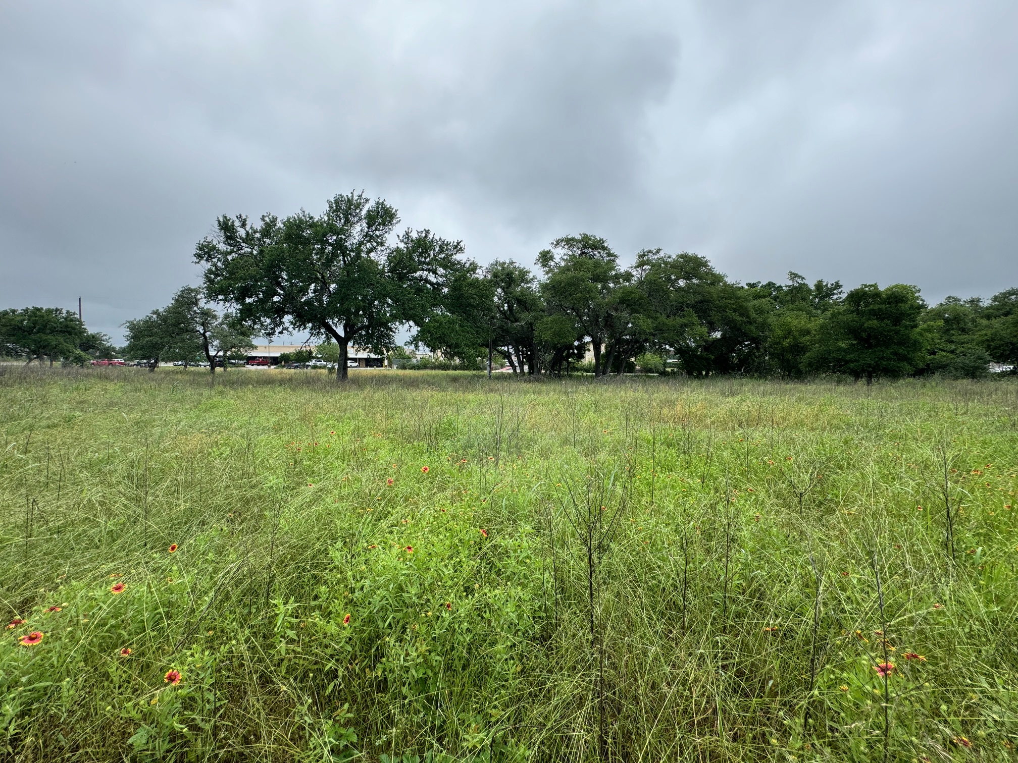 00 W US 290 Highway photo 4