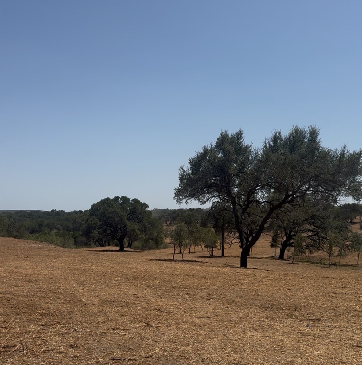 16413 Fitzhugh Rd in Dripping Springs, Texas
